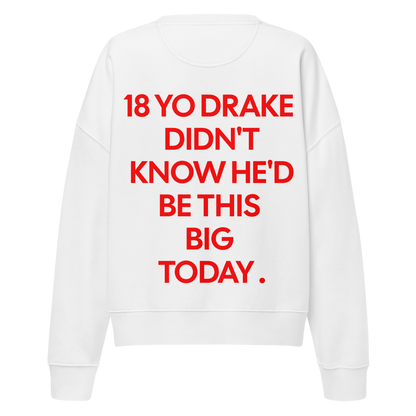 Drake oversized sweatshirt